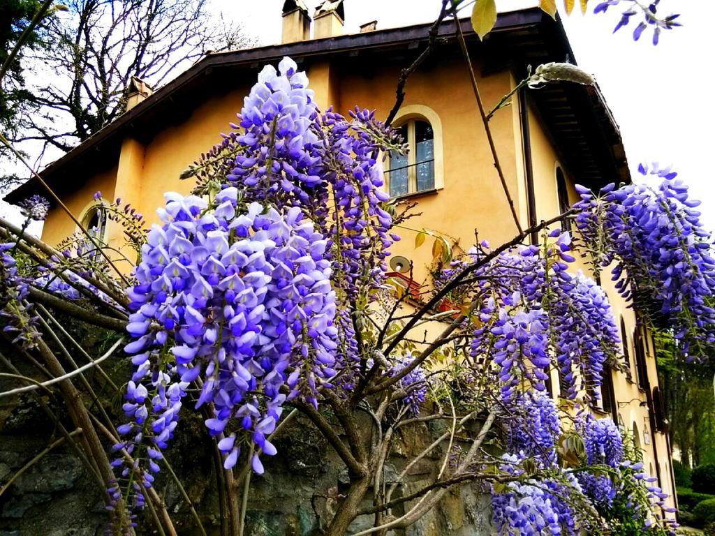 La Locanda Del Borgo Pietralunga  Buitenkant foto